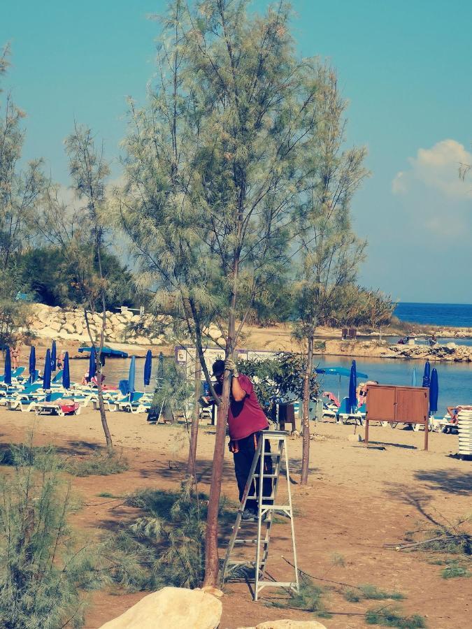 פרוטאראס Trident Beach Apartment מראה חיצוני תמונה